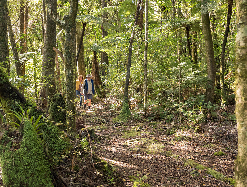 People doing the eco Hike